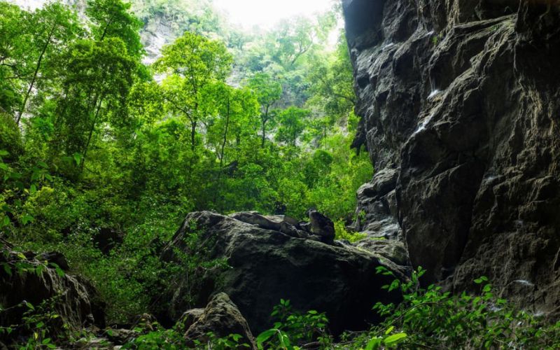 Son Doong Cave